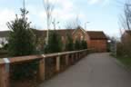 Ascot Post & Rail Fencing and Landscaping (31kb)